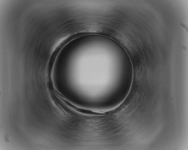 X0000097860536200803141240