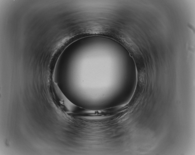 X0000097860540200803141240