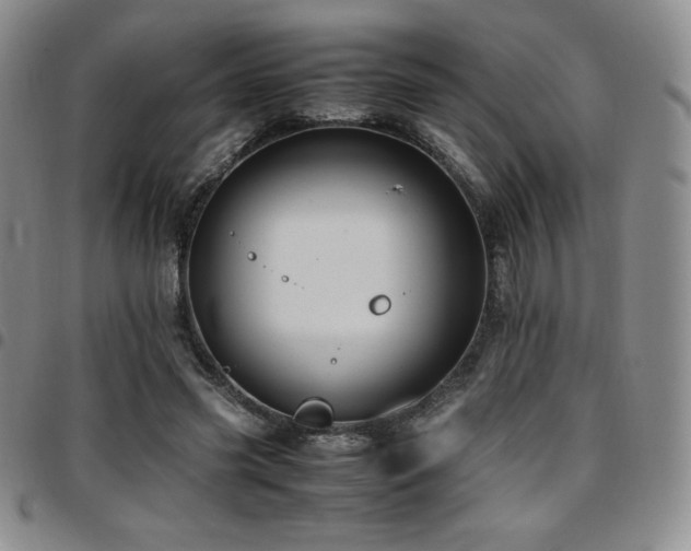 X0000097860541200803141240