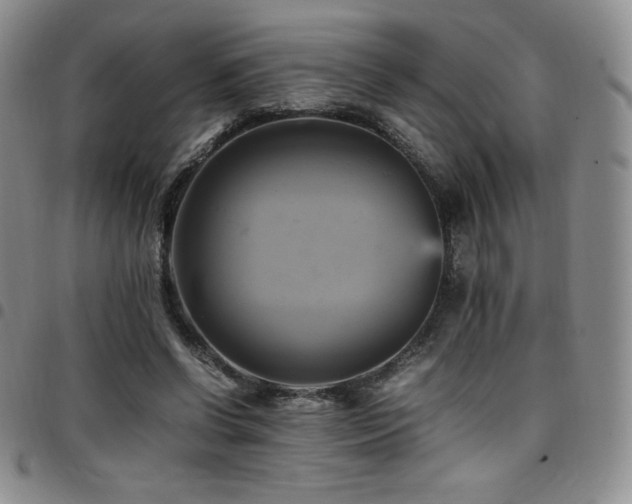 X0000097860542200803141240