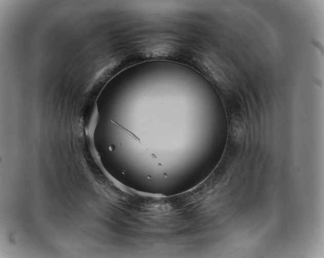 X0000097860543200803141240