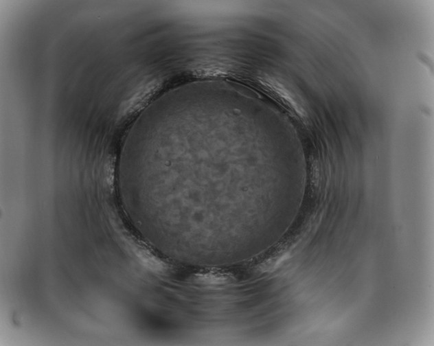 X0000097860545200803141241