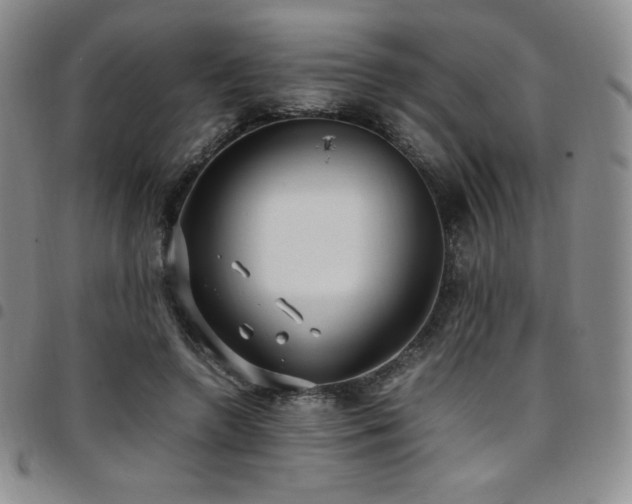 X0000097860546200803141241