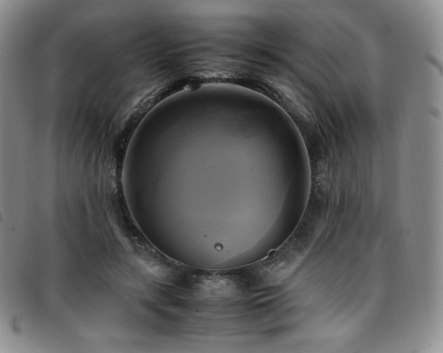 X0000097860547200803141241