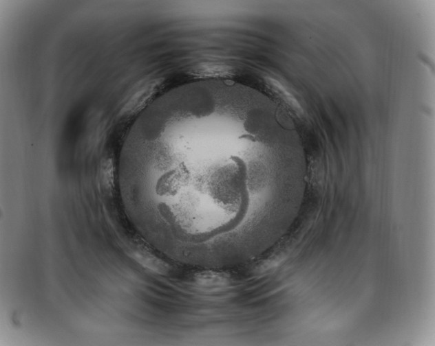 X0000097860549200803141241