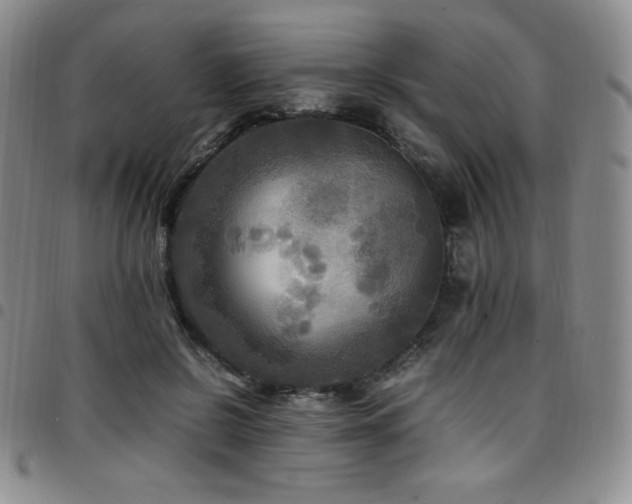 X0000097860550200803141241