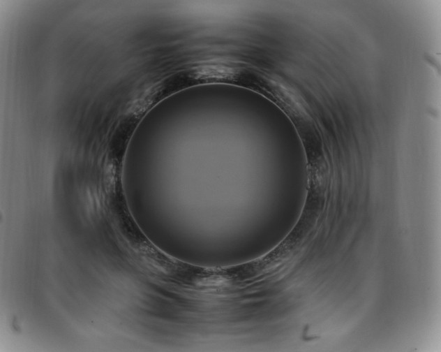 X0000097860551200803141241