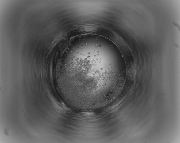 X0000097860552200803141241