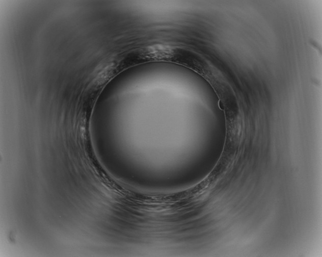 X0000097860553200803141241