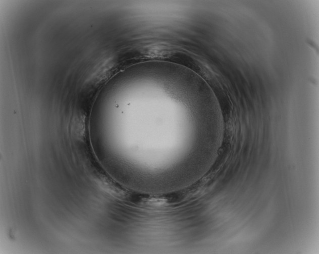 X0000097860554200803141241