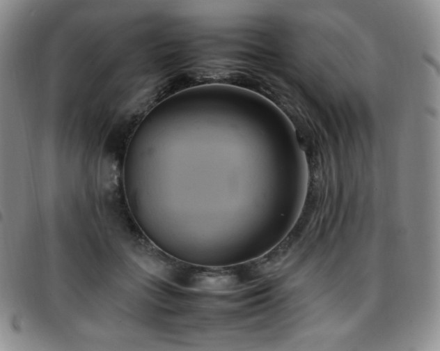 X0000097860555200803141241