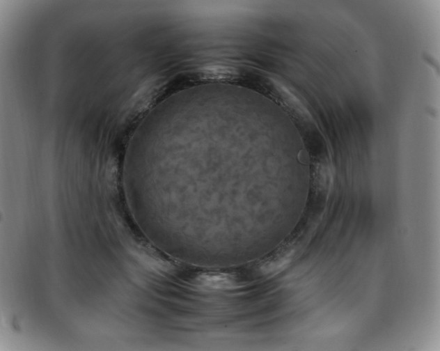 X0000097860557200803141241