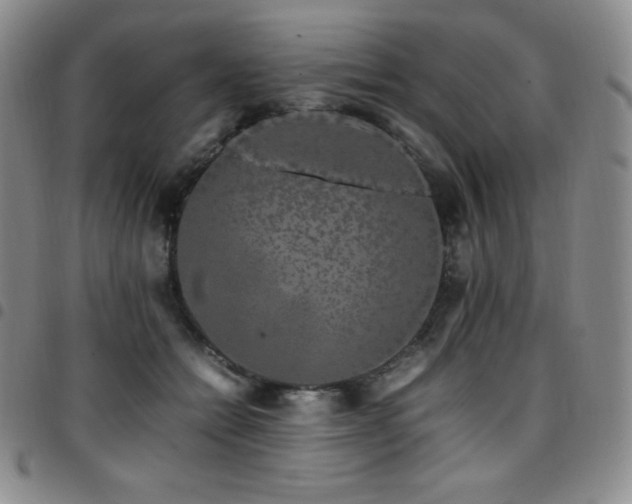 X0000097860558200803141241