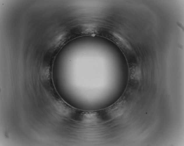 X0000097860560200803141241