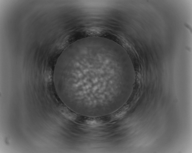 X0000097860561200803141241