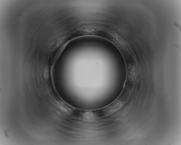 X0000097860562200803141241