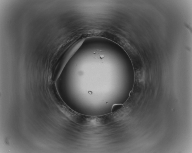 X0000097860564200803141241