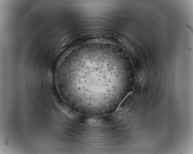 X0000097860568200803141241