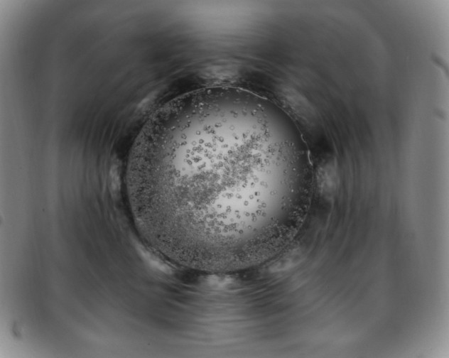 X0000097860570200803141241