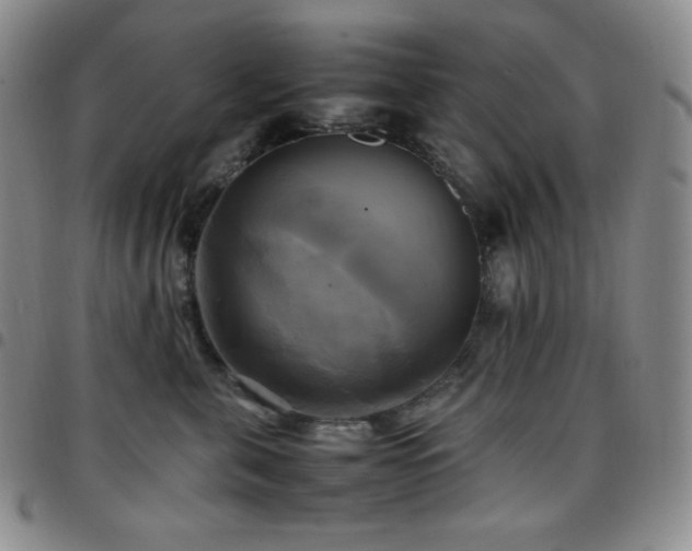 X0000097860571200803141241