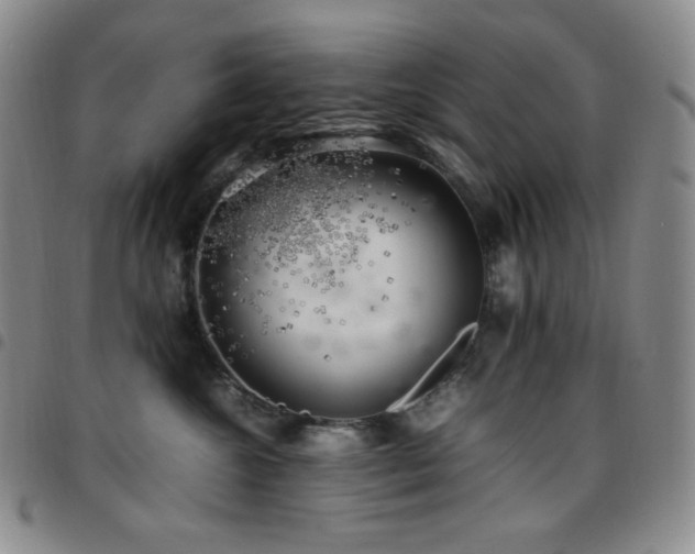 X0000097860572200803141241