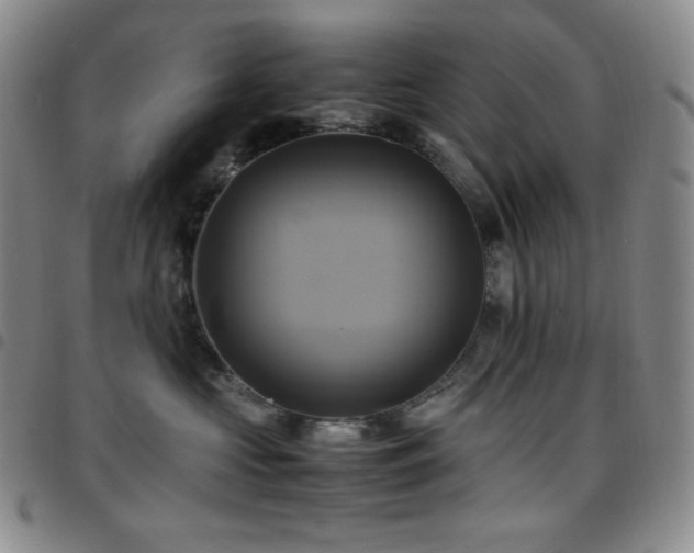 X0000097860573200803141241