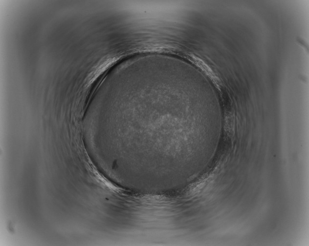 X0000097860577200803141240