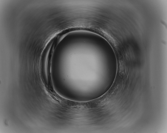 X0000097860580200803141240