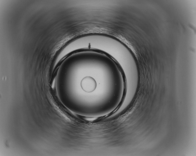 X0000097860581200803141240