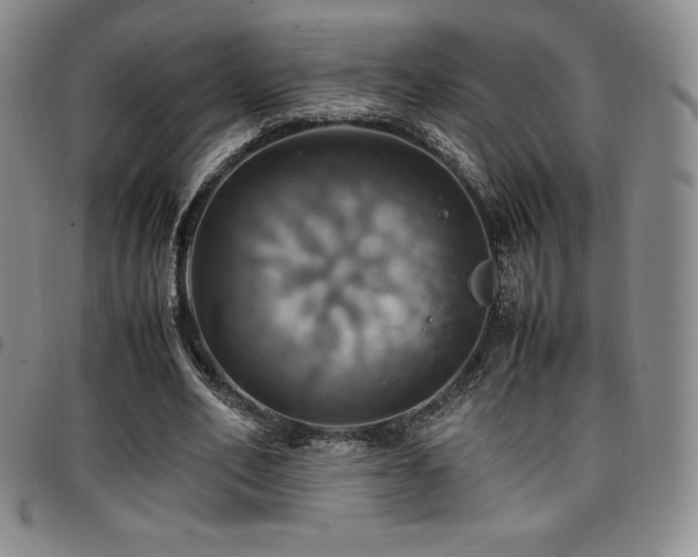 X0000097860582200803141240