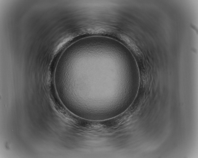 X0000097860583200803141240