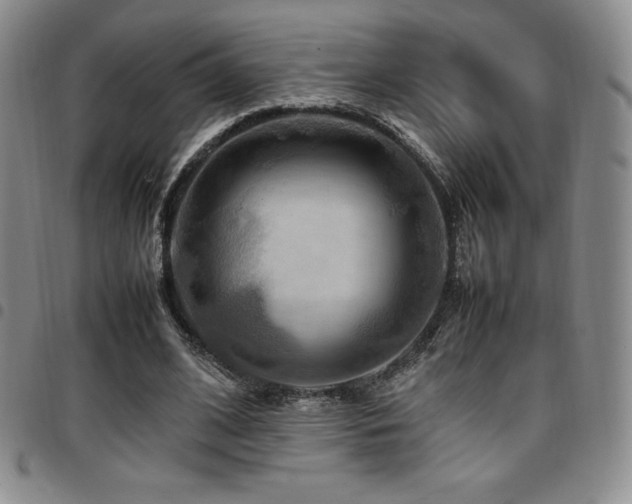 X0000097860584200803141240