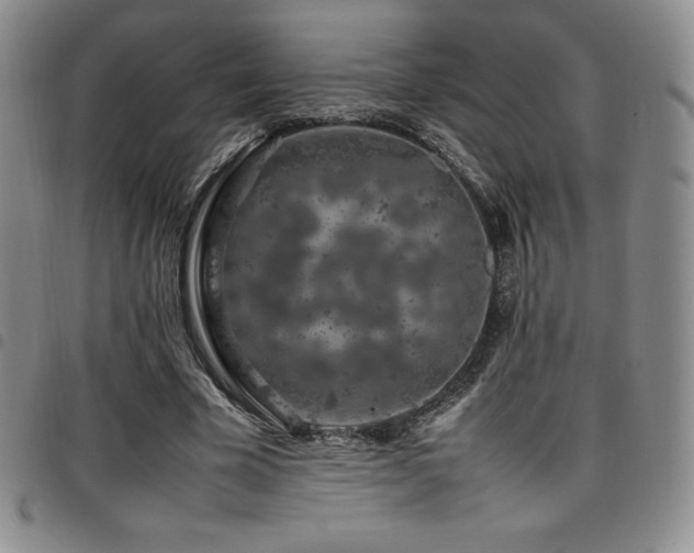 X0000097860585200803141240