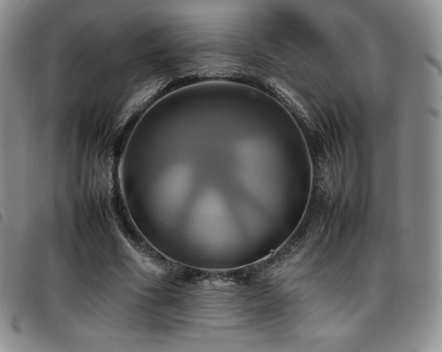 X0000097860586200803141240