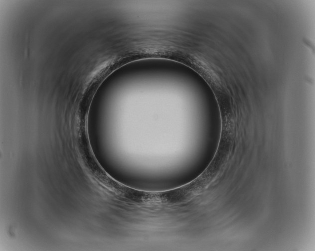 X0000097860587200803141240