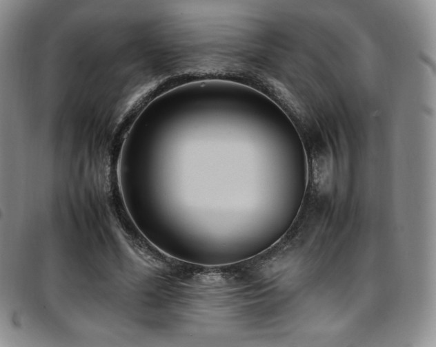 X0000097860588200803141240