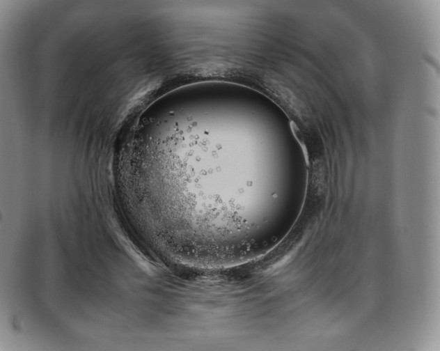 X0000097860589200803141240