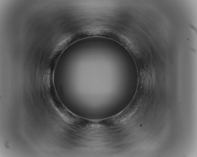 X0000097860590200803141240