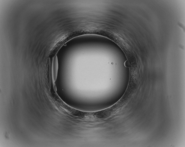 X0000097860591200803141240