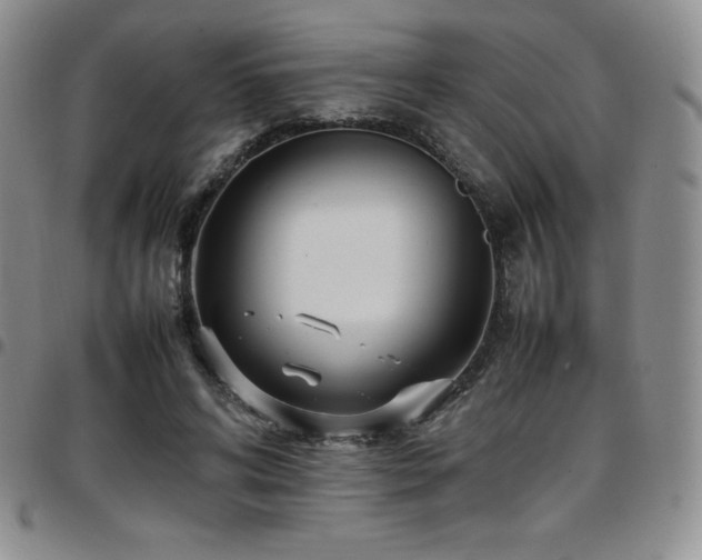 X0000097860592200803141240