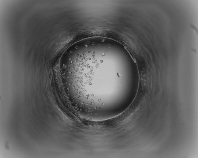 X0000097860593200803141240