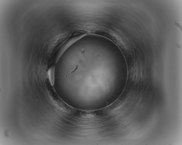 X0000097860594200803141240