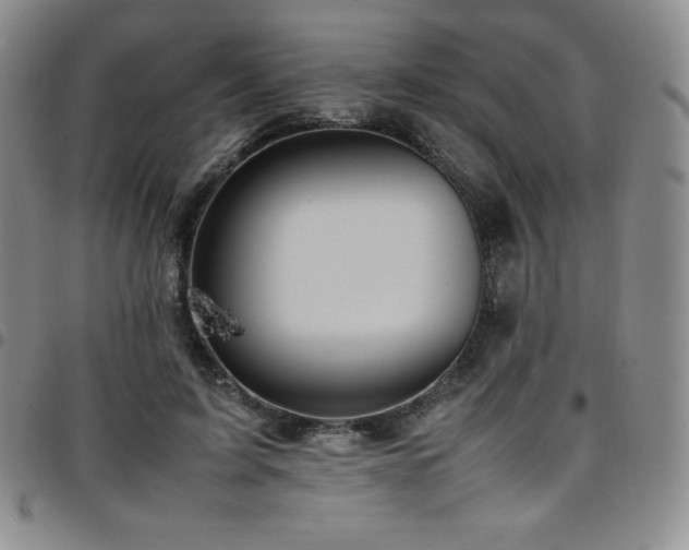 X0000097860595200803141240