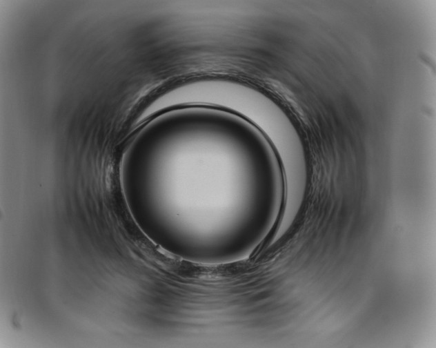 X0000097860596200803141240