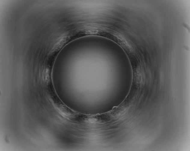 X0000097860598200803141240