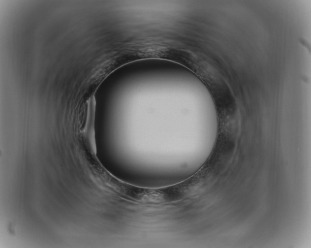 X0000097860599200803141240