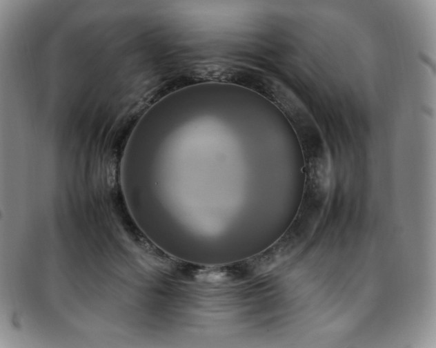 X0000097860602200803141240