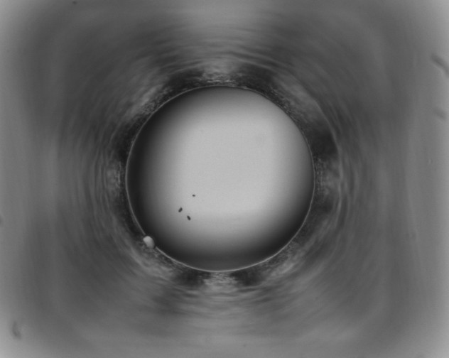 X0000097860603200803141240