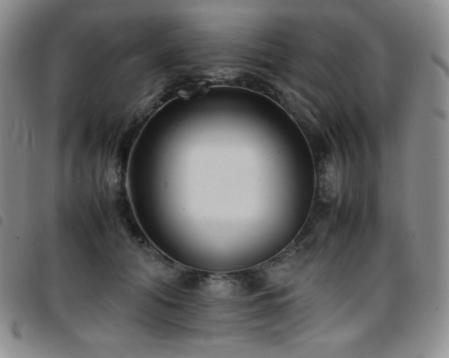 X0000097860608200803141240