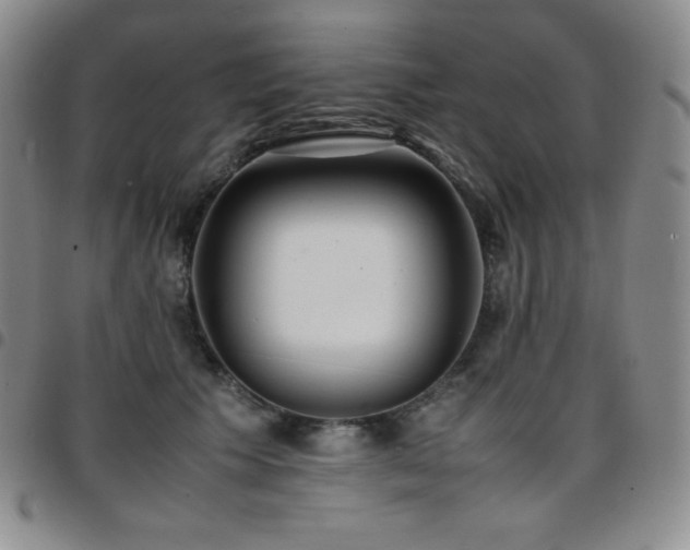 X0000097860609200803141240